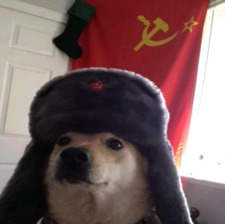 Comrade Doge