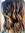 Massiel | 1 comments