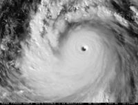 الهدار الهدار