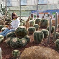 Marisa Ratanakisadatan