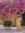 Nonsense.and.Sensibility (nonsenseandsensibility) | 4 comments