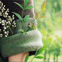 Mãjd Ãbdül-Šáłam