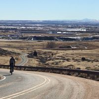 Helmut Muller-Sievers