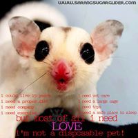 Muhammad Rizki Ikhwan