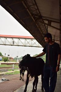 Mokarram Iqbal