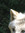 member photo member photo