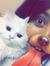 Nourhan