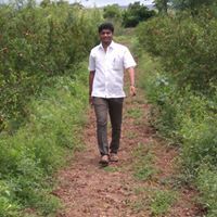 श्रीनिवास हिंगमिरे