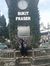 Hanim K...