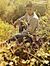 Shubham...