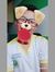 Đình Huy