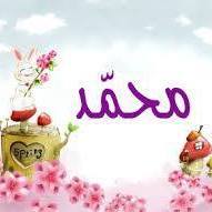 Mohamed Farouk