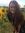 Abby Brink