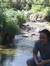 Djanjo ...