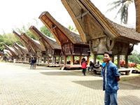 Syaiful T