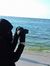 Mariam ...