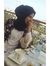 Salma SD
