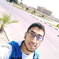 Mostafa A. Elkhwaas