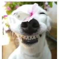 ไอแอม อาโนงงง