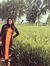 Ankita ...