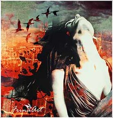 FrinaArt Book Cover Designer