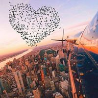 ششہۣۗيہۣۗممہياء الہۣۗطہۣۗريہفيہۣۗي