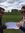 Janette Houghton | 4 comments