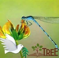 Thiruvarulkarthi Thiruvarulkarthi