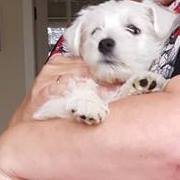 Christine Cartwright