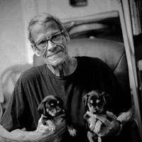 George Shea