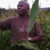Augustus Mwanthi