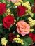 Sridhar Bv