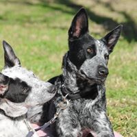 Flick Bennett-Bremner