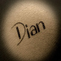 Dian Dinh