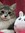 member photo member photo