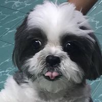 ยายมีเลี้ยงหมียายมอย ยายมอยเลี้ยงหอยยายมี