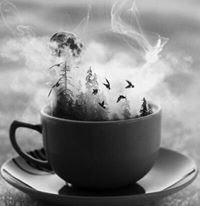 سنا عدنان الخالد