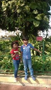 Shaik Asra