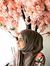 Syeda Z...