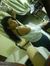 Tania R...