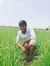 Mathi V...
