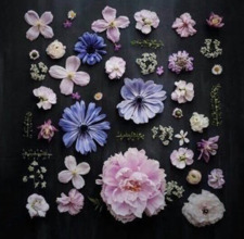 وجدان الدعجاني