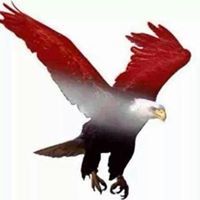 فهمي الجنيدي