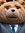 Ted
