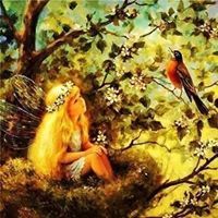 Mayar Ahmed