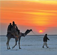 अरविन्द त्रिपाठी