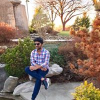 Prithvi Krishna