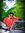 Sarath ...