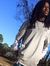 Trez Ervin