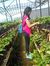 Liana S...